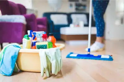Hi, I’m looking for an evening cleaning or housekeeping job from 6:30 PM. I have almost 2 years of e...