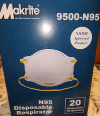 N95 Disposable Respirator Masks
