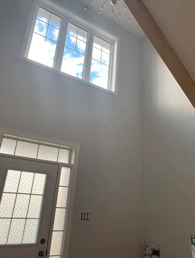 Kim & Co. Painters62866660328707121