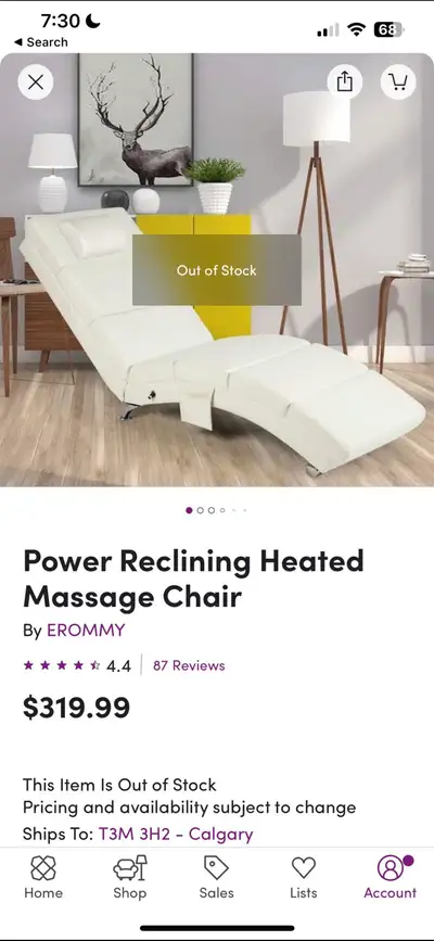Heat/Massage lounger, View more
