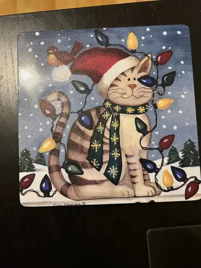 Christmas Insulated hot pad $5, usedMississauga, View more