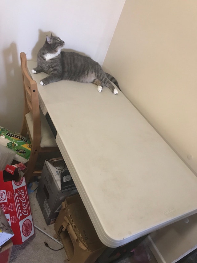 Foldable table Coffee Tables Ottawa Kijiji