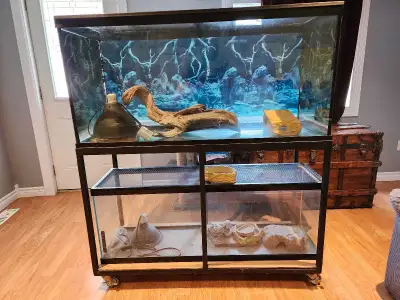 90 Gallon and 50 Gallon Terrarium set up, View more