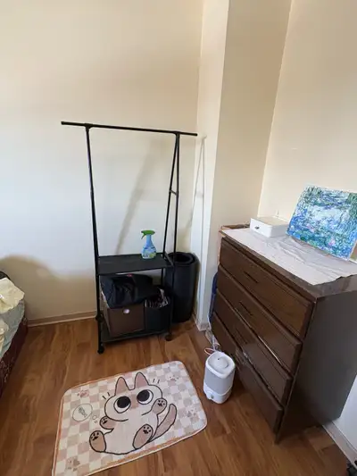 3 Beds 2 Baths - Townhouse I am subletting my room for the period from May 10 to August 31. Female t...