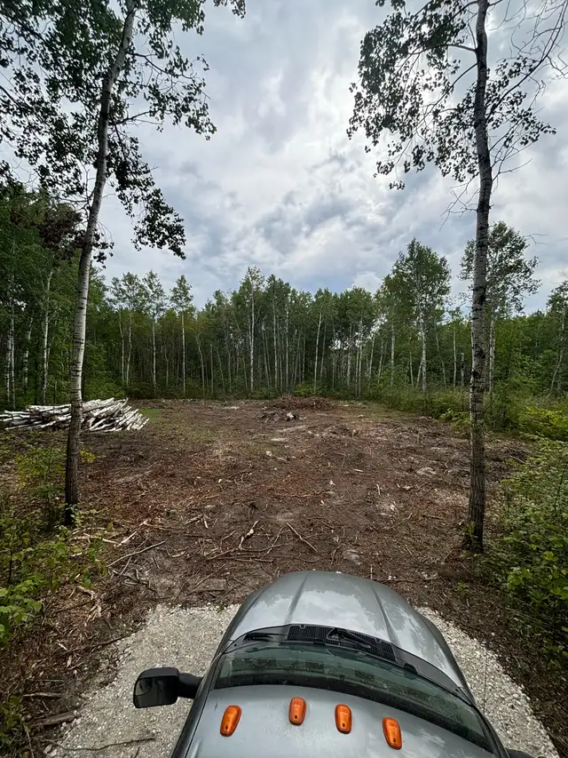 Forestry Mulching, Lot Clearing & Site Preperation62863225278337121