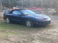 1999 Firebird Convertible 