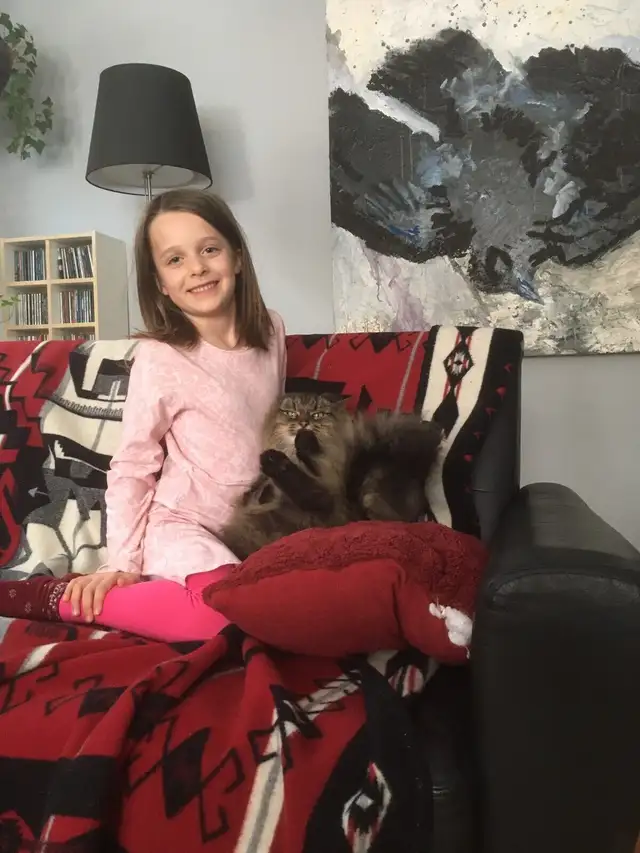 Cat sitters, cat sitting in Animal & Pet Services in Moncton - Image 2