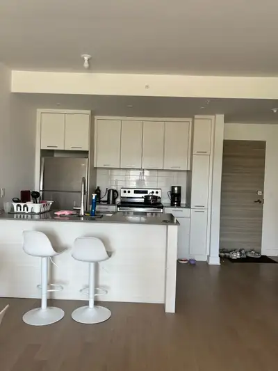 3 1/5 apartment in griffintown, lease transfer