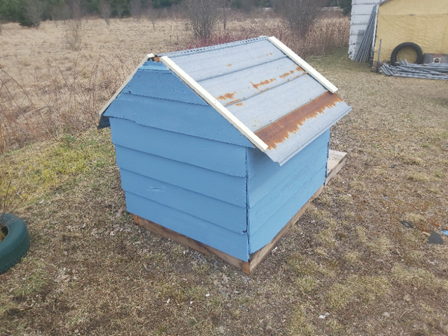 Large dog house for sale in Accessories in Petawawa - Image 2