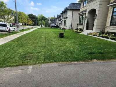 landscape Maintenance , View more