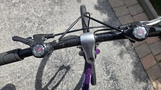 Vintage purple Raleigh Discovery 18-speed mountain bike in Mountain in Hamilton - Image 3