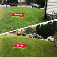 Spring CleanUp, Lawn mowing, Lawn maintenance
