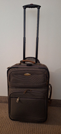 Ricardo Carry On Suitcase Luggage