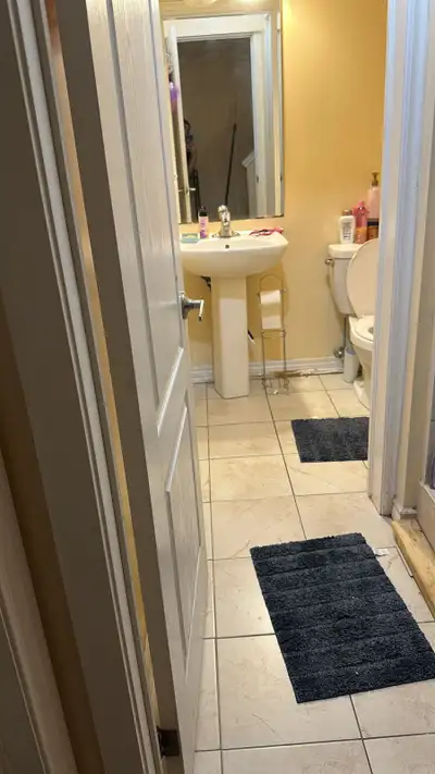 Close to doon campus, car parking underneath the shed included and all utilities 500$ water softener...