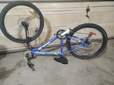 Bit of ware, good bike. Needs a new front tube.