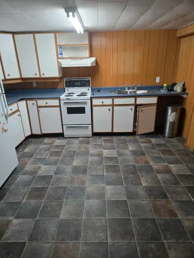 1 bedroom available basement suit. Nice location outside of town on 1 acre. Looking for Immediate qu...