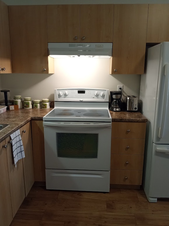 Életro ménager et Meubles Cuisinières, fours et fourneaux Saguenay