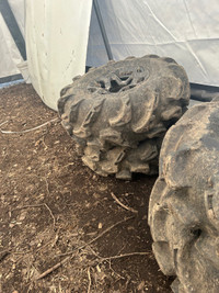 Can am tims tires