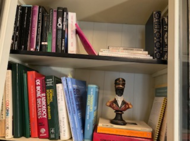 LARGE, SOLID WOOD DEBOERS BOOKCASE in Bookcases & Shelving Units in Oakville / Halton Region - Image 8