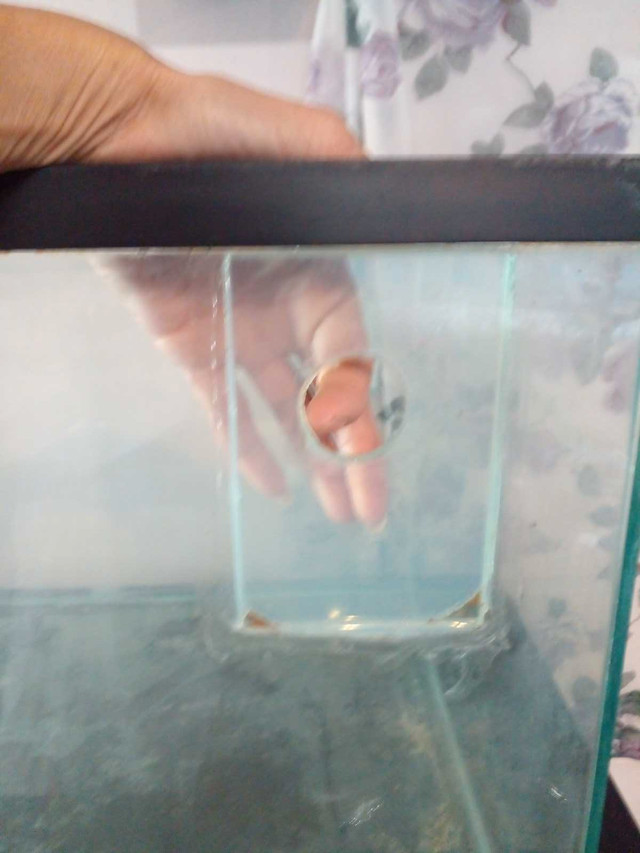 Clear box used for plantquarium in Other in London - Image 2