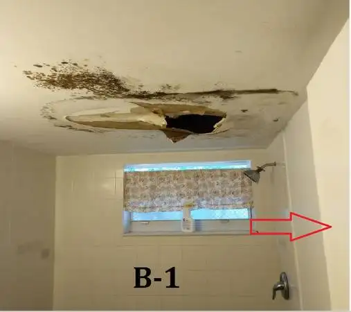 Drywall finisher 26 years. Ceiling wall systems.601862521917941768