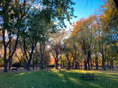 Beau 3 1/2 avec vue sur la parc Baldwin disponible immédiatement