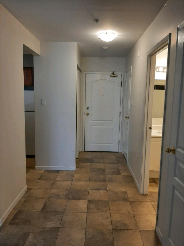 Harbor house 1 bed 1 bath apartment on Lower Water St Long Term