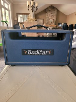 Badcat Head Cabinet in Amps & Pedals in Barrie