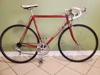 Vintage Pinarello Bike