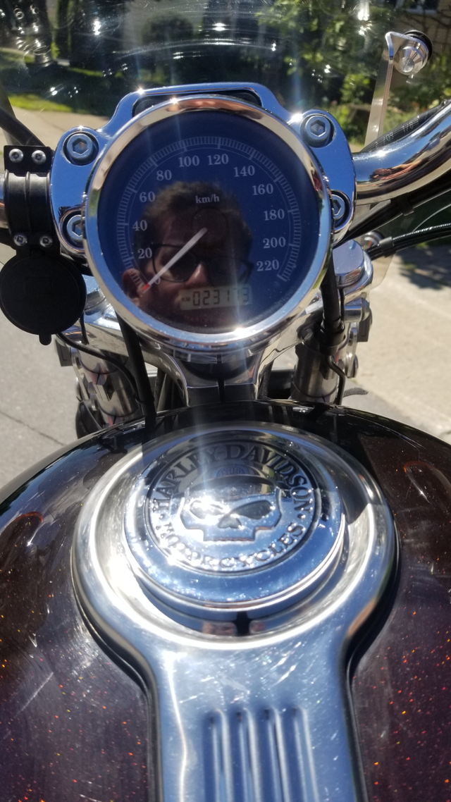 SPORTSTER 1200, 2010, 23000kms in Touring in Laval / North Shore - Image 7