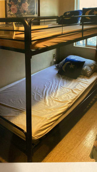 Bunk Bed for sale 
