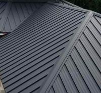 Metal and shingle roofing professionals