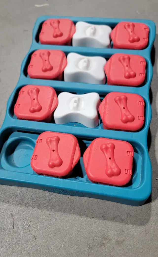 Dog Puzzle by Outward Hound in Other in Kingston - Image 4