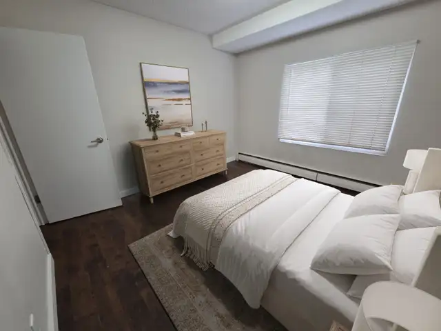 1 bedrooms & Studios available now | Cat friendly!