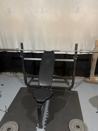 Northern lights Olympic bench press (bar not included)