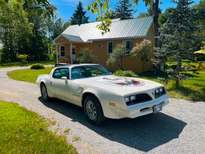 1977 Pontiac Trans Am