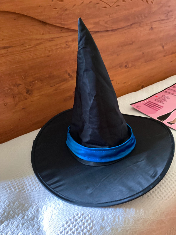 Costume de sorcière dans Costumes  à Lévis - Image 4
