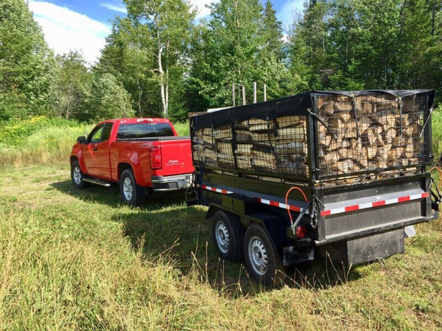 Bois feu de camp, camping , allumage dans Autre  à Lévis