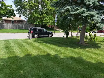 Lawn Care Pickering, View more