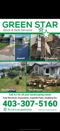 Tree removal/ landscaping 