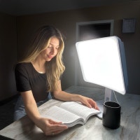 Carex Day-Light Elite Bright Light Therapy Lamp City of Toronto Toronto (GTA) Preview