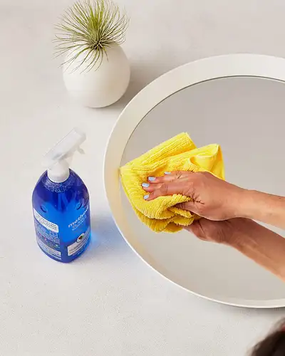 cleaning assistant, View more