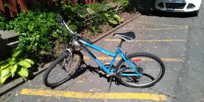 INFINITY PREMIER 21 SPEED FRONT SUSPENSION MOUNTAIN BIKE, View more