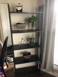 Ikea Laiva Bookcase