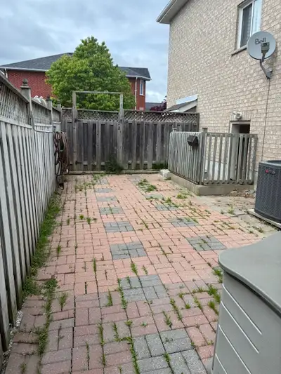 Huge Lower level 2 bedrooms apartment available