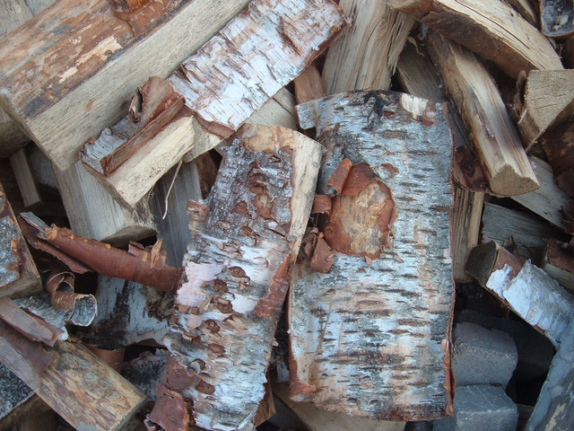 Firewood-Birch, Tamarack, Spuce and Poplar in BBQs & Outdoor Cooking in Regina