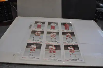 MONCTON GOLDEN FLAMES AHL TEAM SET w / MIKE VERNON & JOEL OTTO +, View more