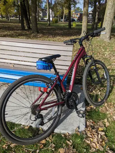 Light usage. I season Wine color, size small. Step through frame. ( I changed grip shifters for thum...