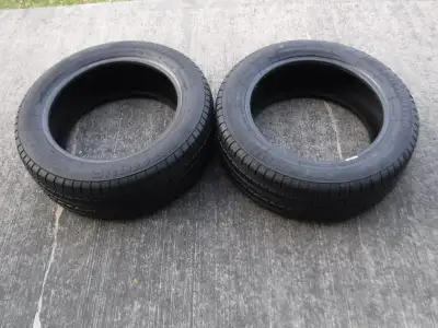 Pair of 205-55R16 Powertrac all season tires. Excellent condition, lot's of tread. No damage, plugs...