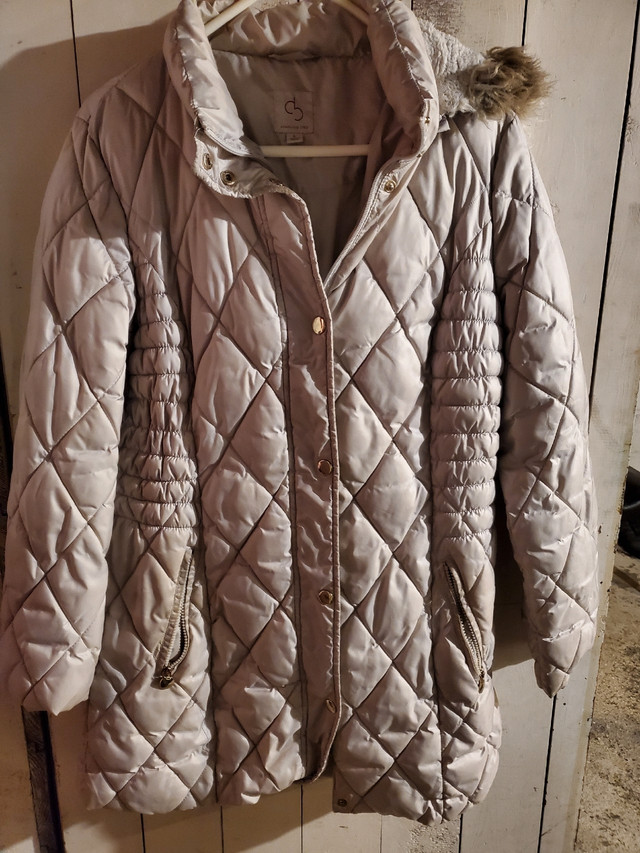 Winter coats  in Women's - Tops & Outerwear in Windsor Region - Image 2